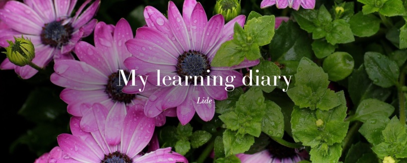 learning diary LM
